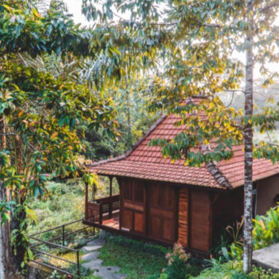 אובוד The Jungle Villa מראה חיצוני תמונה